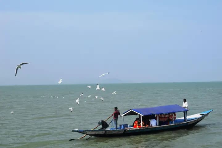 Puri To Chilika Roundtrip